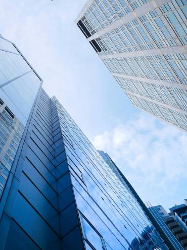 Direct foreign investment - Reis Malheiro